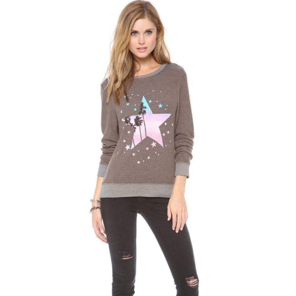 Wildfox Palm tree and Star Gray jumper sweater